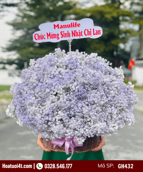 Giỏ hoa baby tím